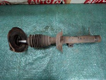 ANSAMBLU AMORTIZOR/ARC DREAPTA FATA FORD FOCUS 