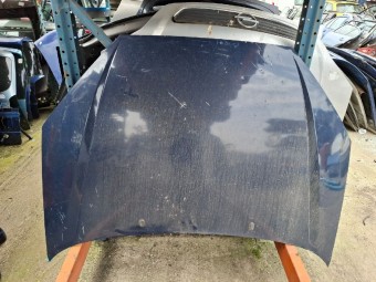 CAPOTA MOTOR FORD FOCUS 