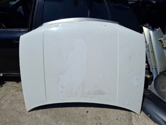 CAPOTA MOTOR VOLKSWAGEN GOLF IV 