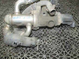 EGR FIAT PUNTO OEM: 50024007.