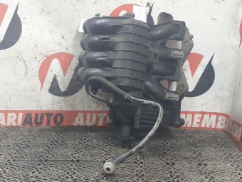 GALERIE ADMISIE FIAT ALBEA 