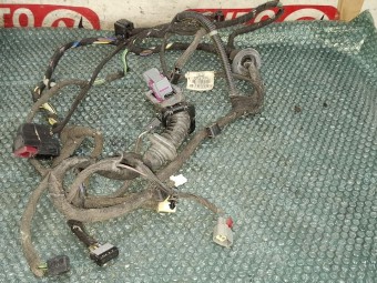 INSTALATIE ELECTRICA (CABLAJ) USA STANGA FATA OPEL INSIGNIA 