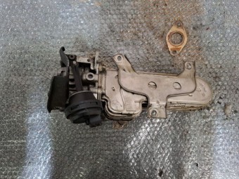 RACITOR GAZE EGR AUDI A3 8P OEM: 038131513AD.