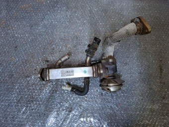 RACITOR GAZE EGR AUDI A4 B7 OEM: 059131513D.