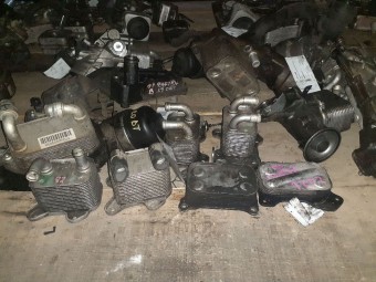 TERMOFLOT (RADIATOR ULEI) BMW 320 OEM: 7787698.