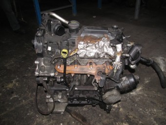 TERMOFLOT (RADIATOR ULEI) FORD FIESTA V 