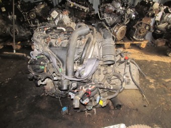 TERMOFLOT (RADIATOR ULEI) PEUGEOT 307 