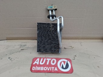 VAPORIZATOR RENAULT CLIO II 