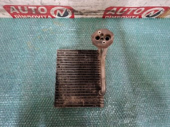 VAPORIZATOR RENAULT MEGANE II 