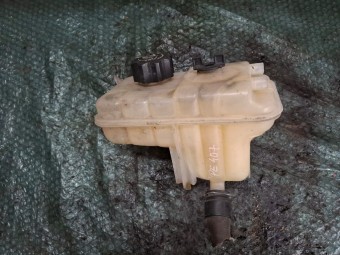 VAS EXPANSIUNE PEUGEOT 407 