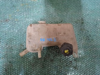 VAS EXPANSIUNE RENAULT MEGANE II OEM: 8200262036B.
