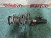 ANSAMBLU AMORTIZOR/ARC DREAPTA FATA FORD FOCUS II 