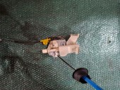 BROASCA (INCUIETOARE) USA DREAPTA FATA AUDI A4 B8 