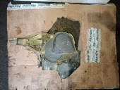 CUTIE VITEZE MANUALA 5 TREPTE FORD FOCUS OEM: XS4R 7002-FB.