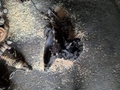 CUTIE VITEZE MANUALA 5 TREPTE OPEL CORSA C OEM: M24.