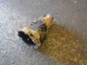 CUTIE VITEZE MANUALA 5 TREPTE VOLKSWAGEN PASSAT B5 OEM: DHW.
