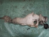 GALERIE ADMISIE HYUNDAI ACCENT II OEM: 3510027500.