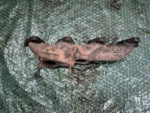 GALERIE EVACUARE DACIA LOGAN MCV OEM: 468141.