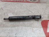 INJECTOR DIESEL RENAULT MEGANE II OEM: 8200240244.