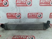 INTERCOOLER RENAULT LAGUNA III OEM: 144610001N.