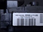 PANOU (TABLOU) SIGURANTE PEUGEOT 307 OEM: 9661682980.