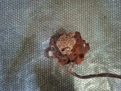 POMPA INALTA PRESIUNE RENAULT MEGANE III OEM: 8200779460.
