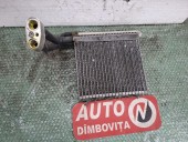 VAPORIZATOR FORD FOCUS II 