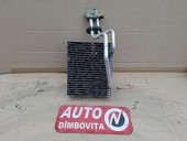 VAPORIZATOR RENAULT CLIO II 