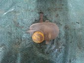 VAS EXPANSIUNE OPEL CORSA C OEM: 09129170.