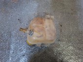 VAS EXPANSIUNE OPEL ZAFIRA A OEM: 90530689.