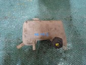 VAS EXPANSIUNE RENAULT MEGANE II OEM: 8200262036B.